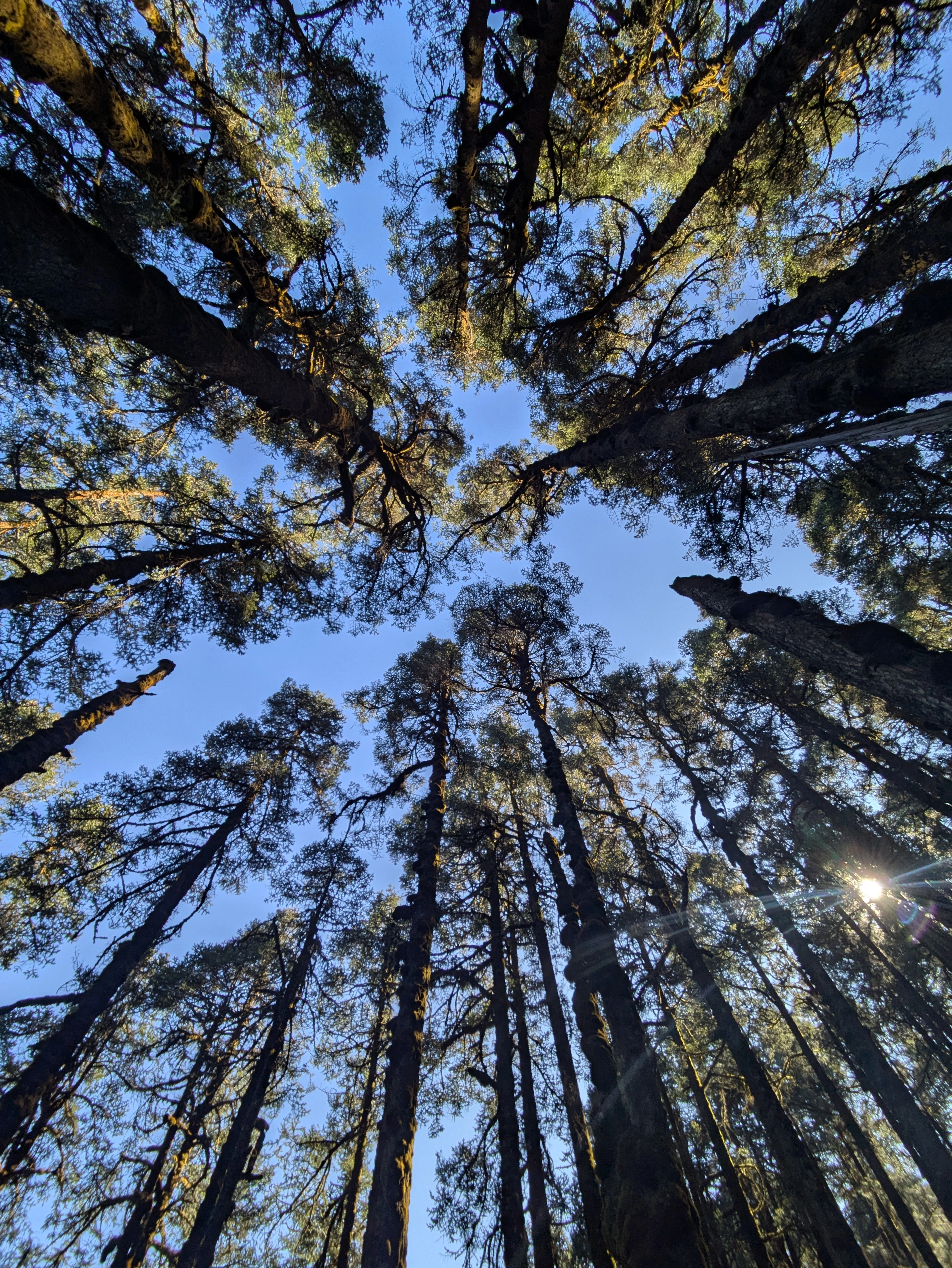 PXL_20250124_044738732