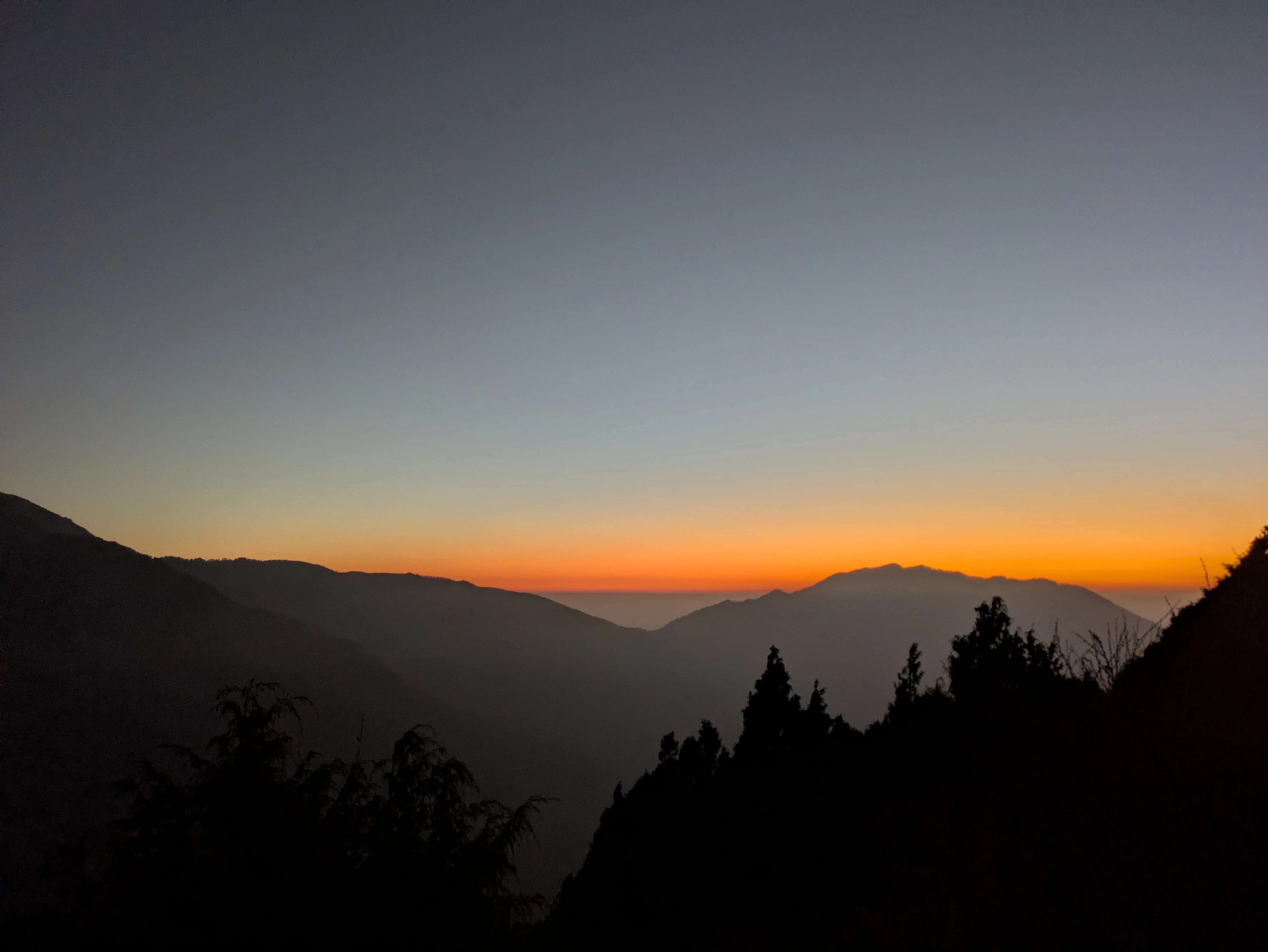 PXL_20250124_122304494